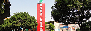 专业市场